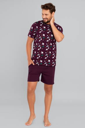 Pánske pyžamo krátke Italian Fashion Sid mega soft bordové