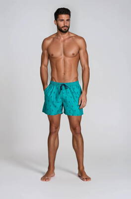 Pánske plavky šortky Henderson Ship 38861-77X zelené