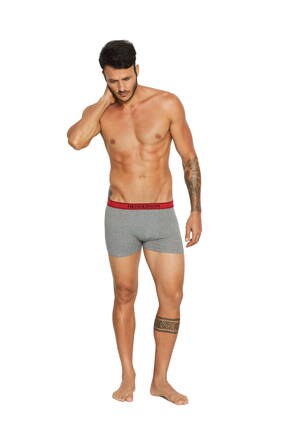 Pánske boxerky so vzorom Henderson Vista 37798-90X