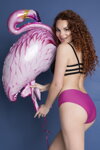 Bezšvové nohavičky vyššie Julimex Simple Panty fialové