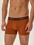 2-PACK pánske bavlnené boxerky Henderson Jag 41928-MLC tehlové-nebesky modré