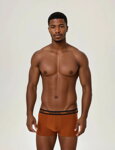 2-PACK pánske bavlnené boxerky Henderson Jag 42252-MLC 2-Pack tehlové-nebesky modré